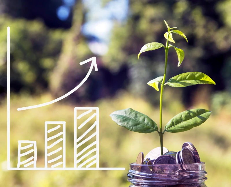 Image représentant une plante poussant sur une pile de pièces de monnaie.